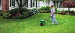 Vigoro vs Scotts: Weed and Feed Fertilizer Showdown! | Obsessed Lawn