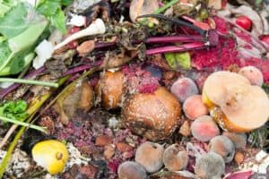 How Long Does It Take to Make a Compost Pile