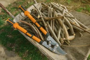 Best Loppers for Pruning & More