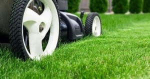 Best Self Propelled Lawn Mower & Reviews