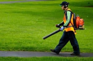 The Best Backpack Leaf Blower Reviews