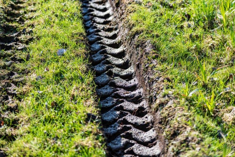 How To Fix Grass That Has Been Driven On And Damaged Obsessed Lawn