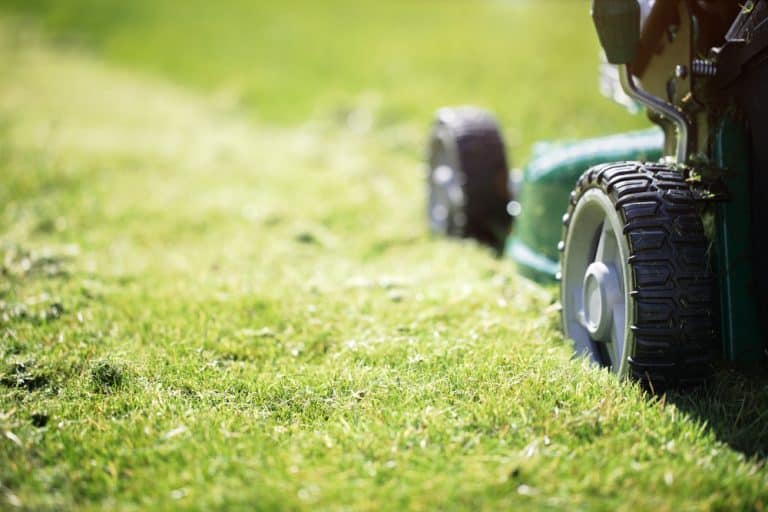 How To Keep Grass From Clumping When Mowing Obsessed Lawn