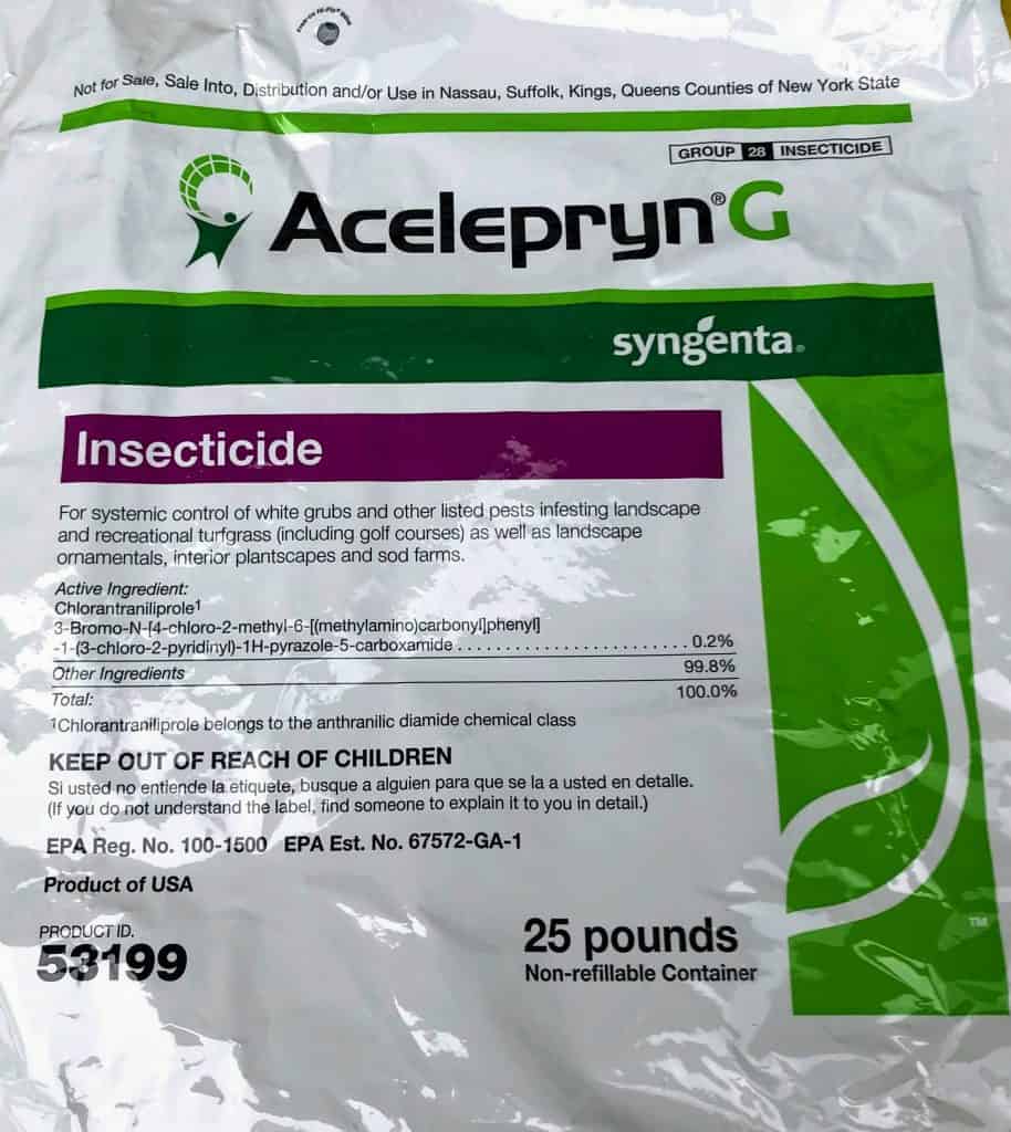 How Soon After Treating For Grubs Can You Plant Grass Seed? Obsessed Lawn