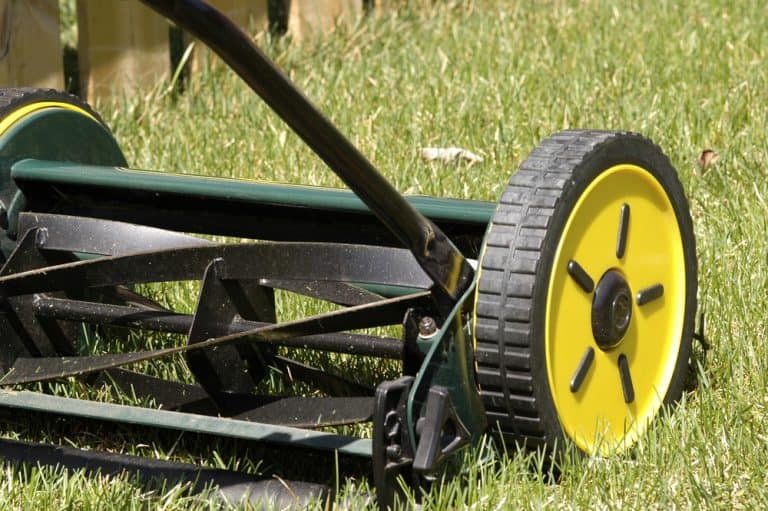 How To Cut Tall Grass With A Reel Mower Obsessed Lawn