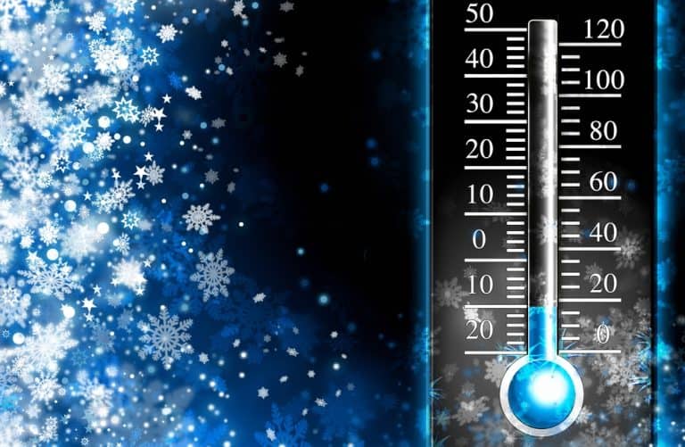 Will Grass Seed Germinate In Cold Weather? Obsessed Lawn