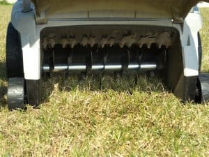 Dethatching Lawns What, When, And How