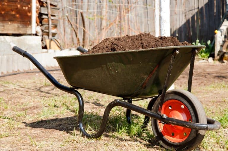 How Much Dirt Does A Wheelbarrow Hold? Obsessed Lawn