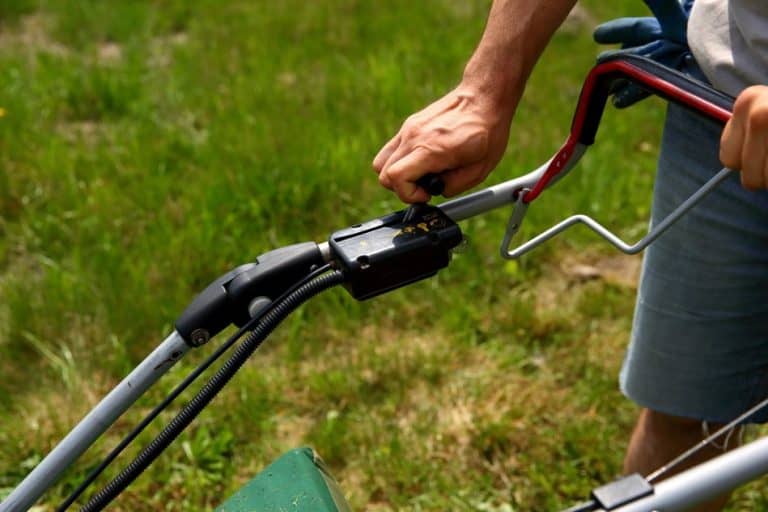 What Does A Choke Do On A Lawnmower? Obsessed Lawn