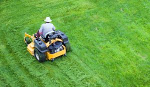 Can I Mow Right After Aerating My Lawn