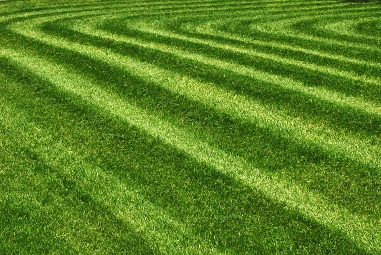 How much liquid fertilizer should i use per acre obsessed lawn