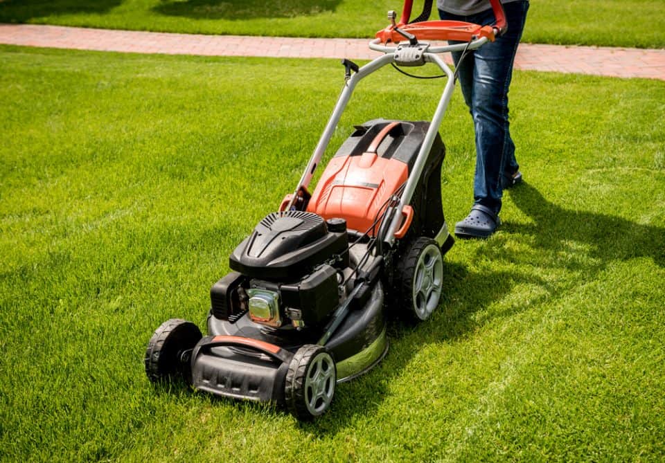 how-often-to-cut-grass-in-the-summer-obsessed-lawn
