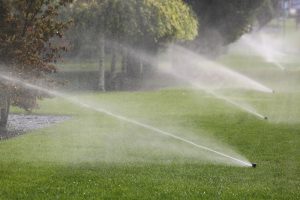 How Much Does A Sprinkler System Cost