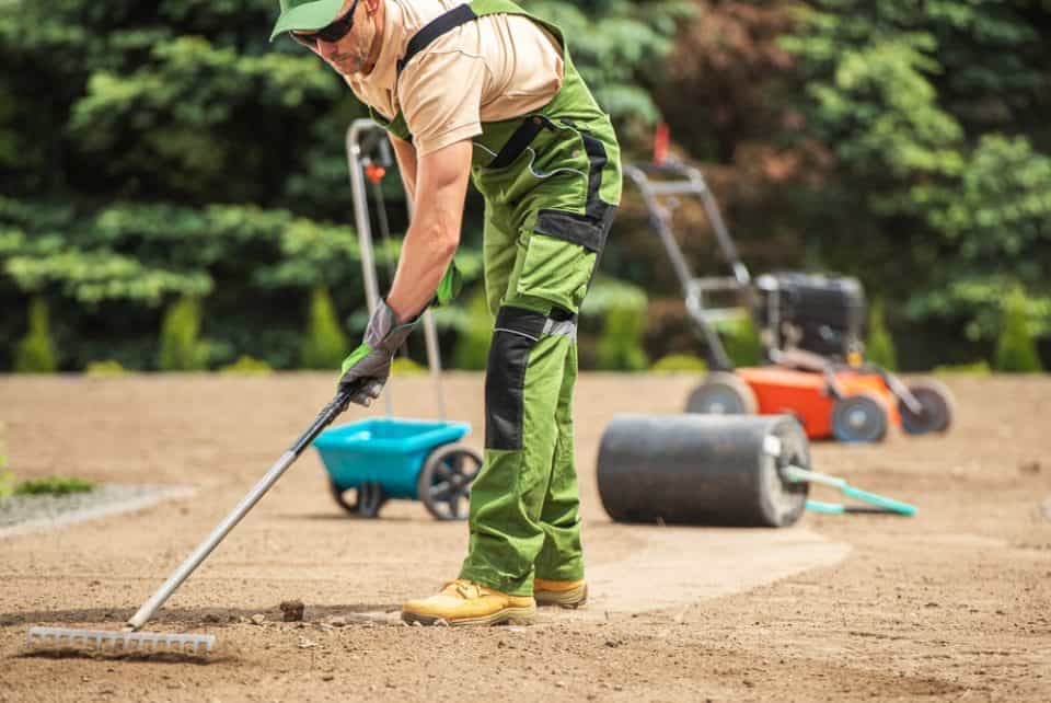 Do You Have To Rake In Grass Seed? Obsessed Lawn
