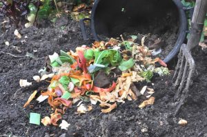 Can You Use Compost For Potting Soil