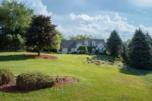 What Is The Easiest Grass To Grow In Michigan