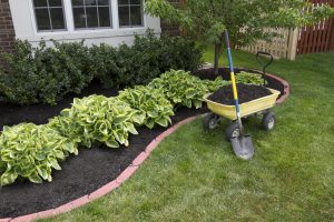 How Much Does 2 Cubic Feet of Mulch Cover
