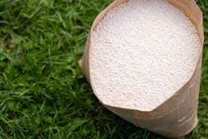 Can I Use Fall Weed and Feed in the Spring