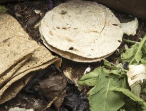 Can You Compost Tortillas