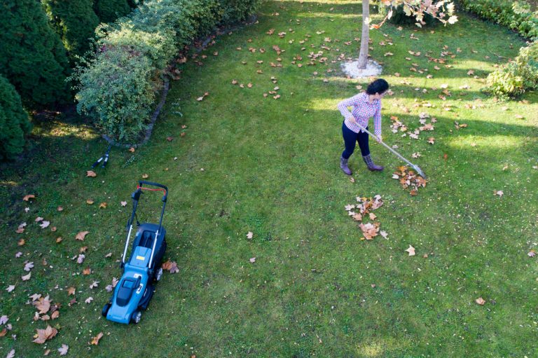 How Short To Cut Grass Before Winter? Obsessed Lawn