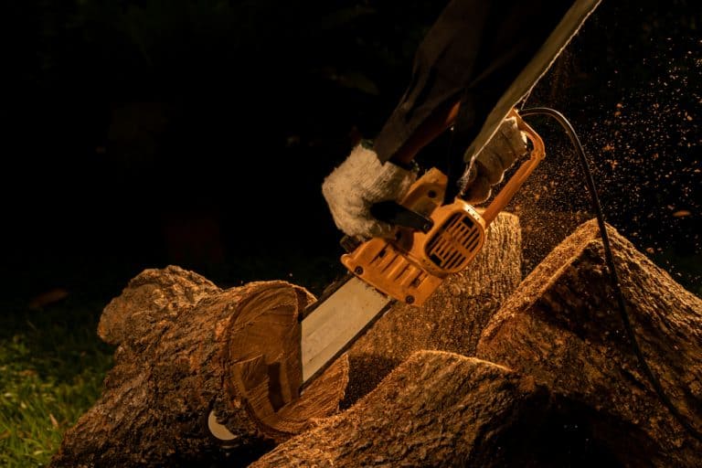 Do Electric Chainsaws Need Oil? Obsessed Lawn