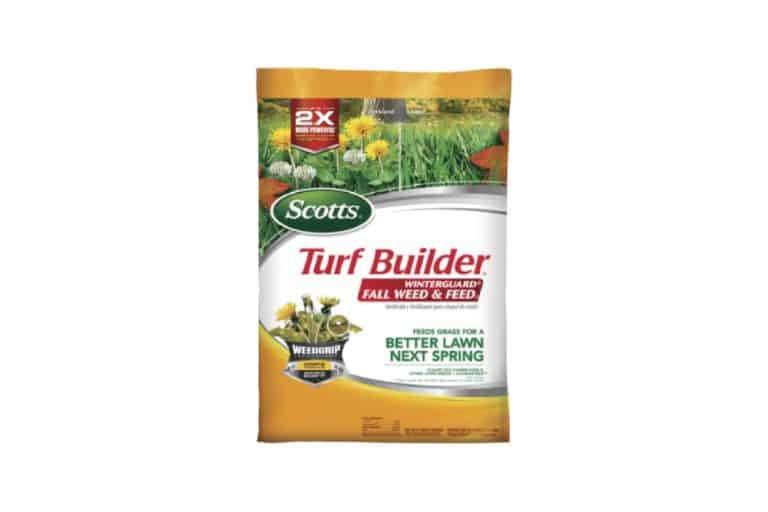 When To Apply Scotts WinterGuard Fall Lawn Food Obsessed Lawn When To Apply Scotts WinterGuard Fall Lawn Food Obsessed Lawn