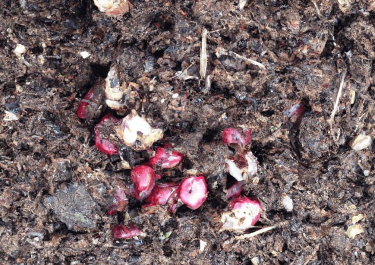 Can Cherry Pits Be Composted? Obsessed Lawn