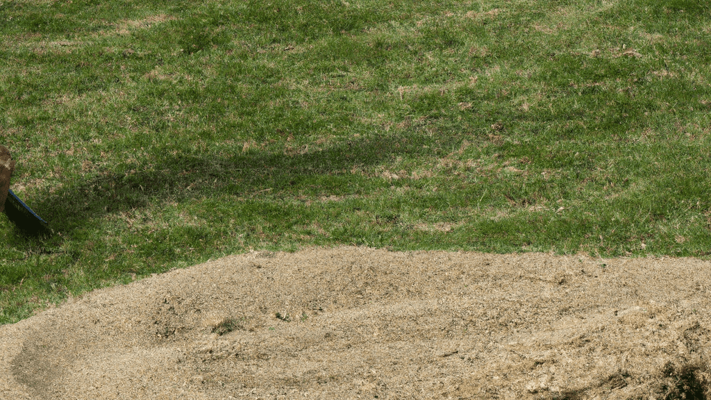 What Type Of Sand For Lawns Which One Is Suitable For Your Grass 