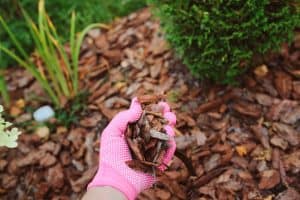How to Make Mulch Glue