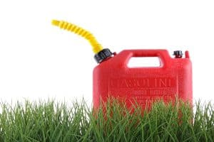 Does Gasoline Kill Grass and Weeds