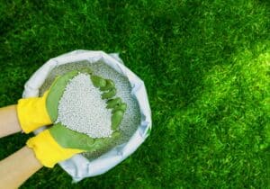 13-13-13 Fertilizer vs. 10-10-10