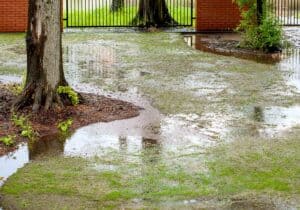 How to Stop Yard Flooding When It Rains