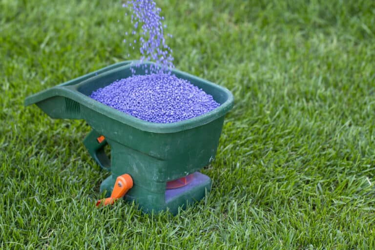 Understanding What Fertilizer Does For Your Grass Obsessed Lawn