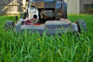 Lawn Mower in Green Grass