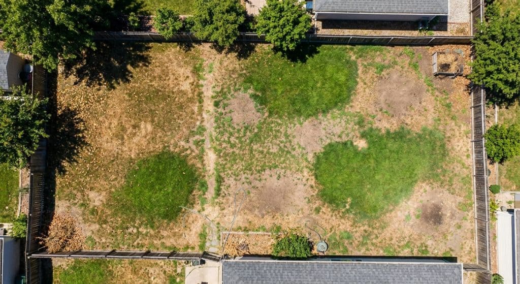 17 Things In Your Yard That Are Silently Killing Your Grass