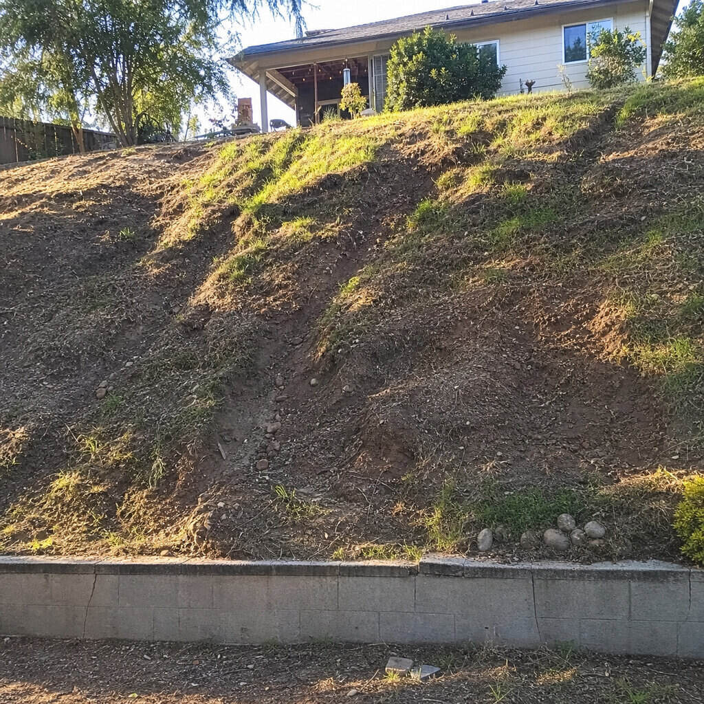 A Steeply Sloped Yard