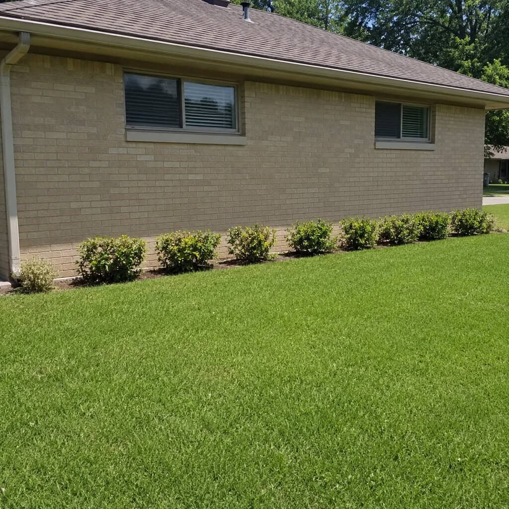 The Skinny Four-Foot 'Mustache' Foundation Bed