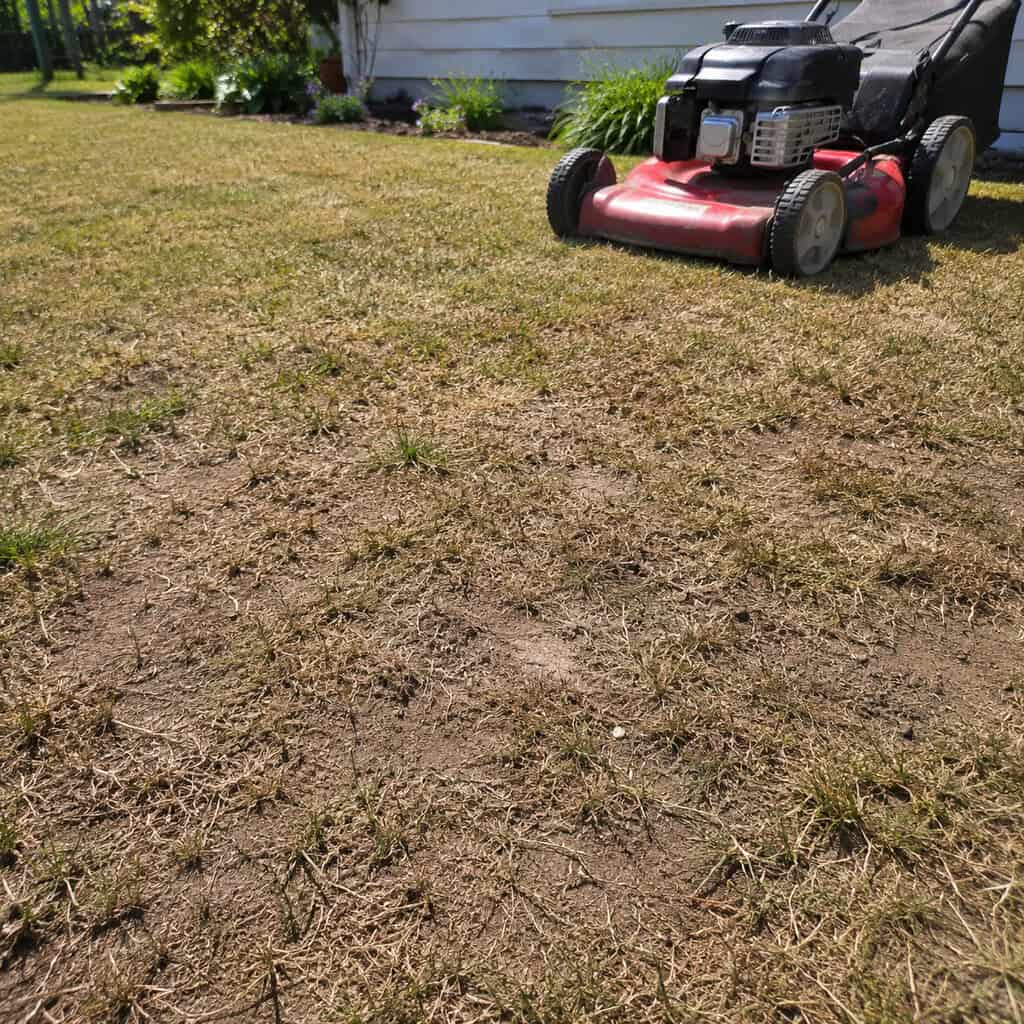 Scalping the Lawn Every Mow