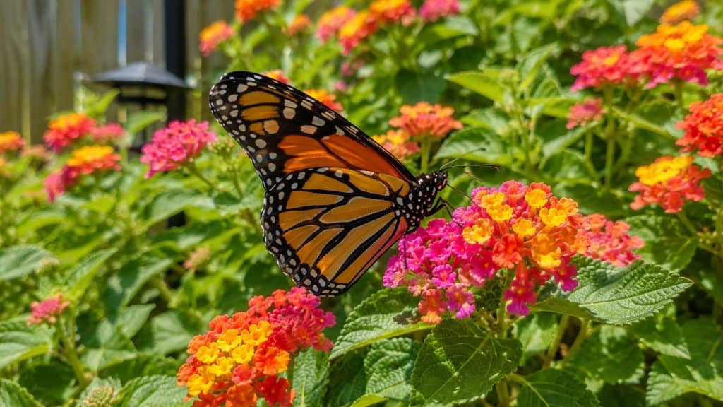 19 Plants That Bloom All Year (So Your Yard Is Never Bare)
