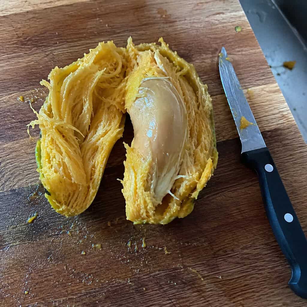 Mango Seed