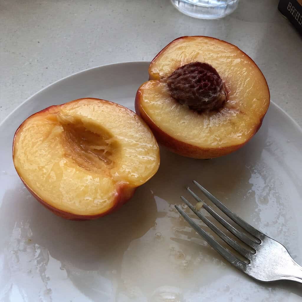 Nectarine Pit