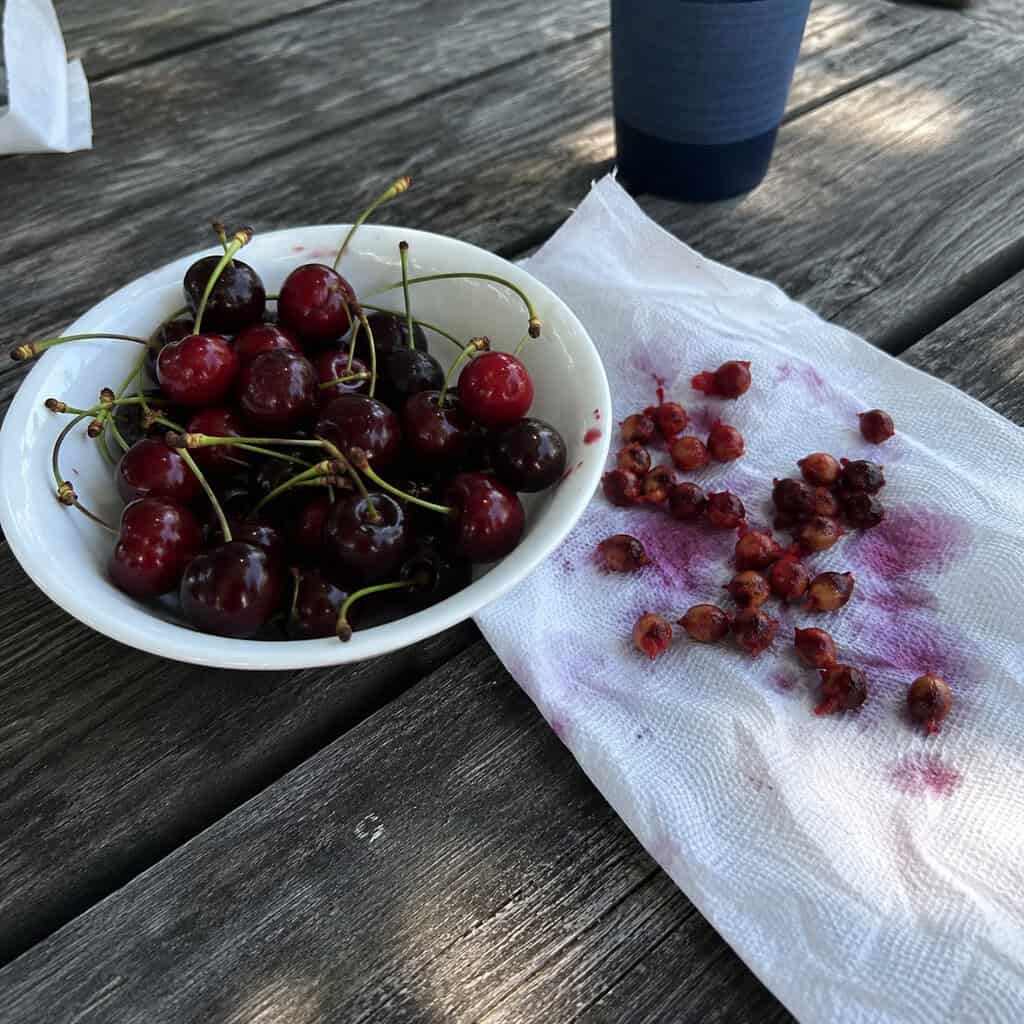 Cherry Pit