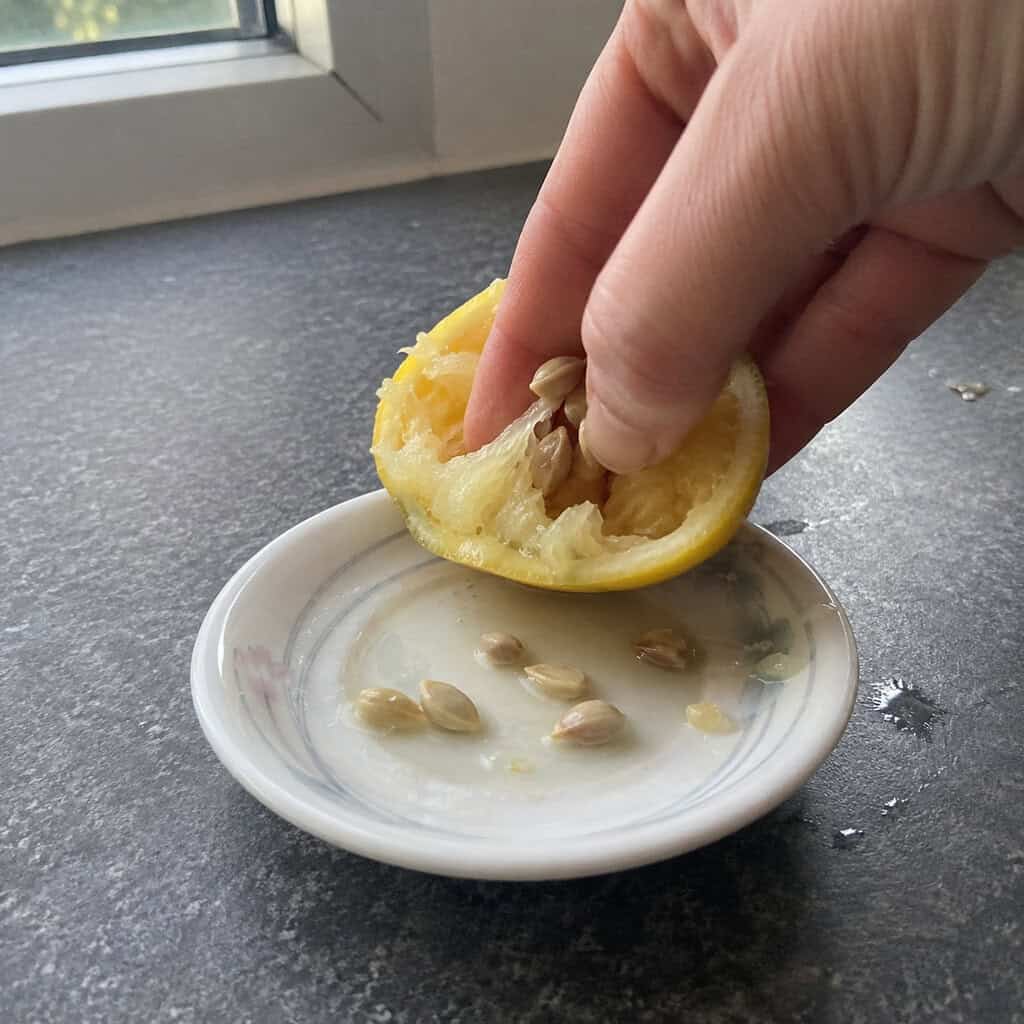 Lemon Seeds