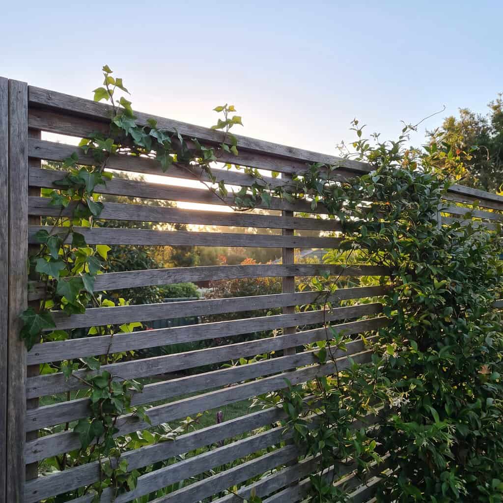 Swap the Solid Fence for See-Through Screening