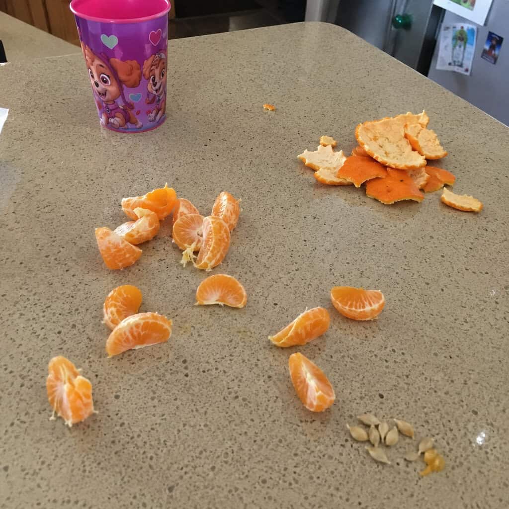 Mandarin, Clementine & Tangerine Seeds