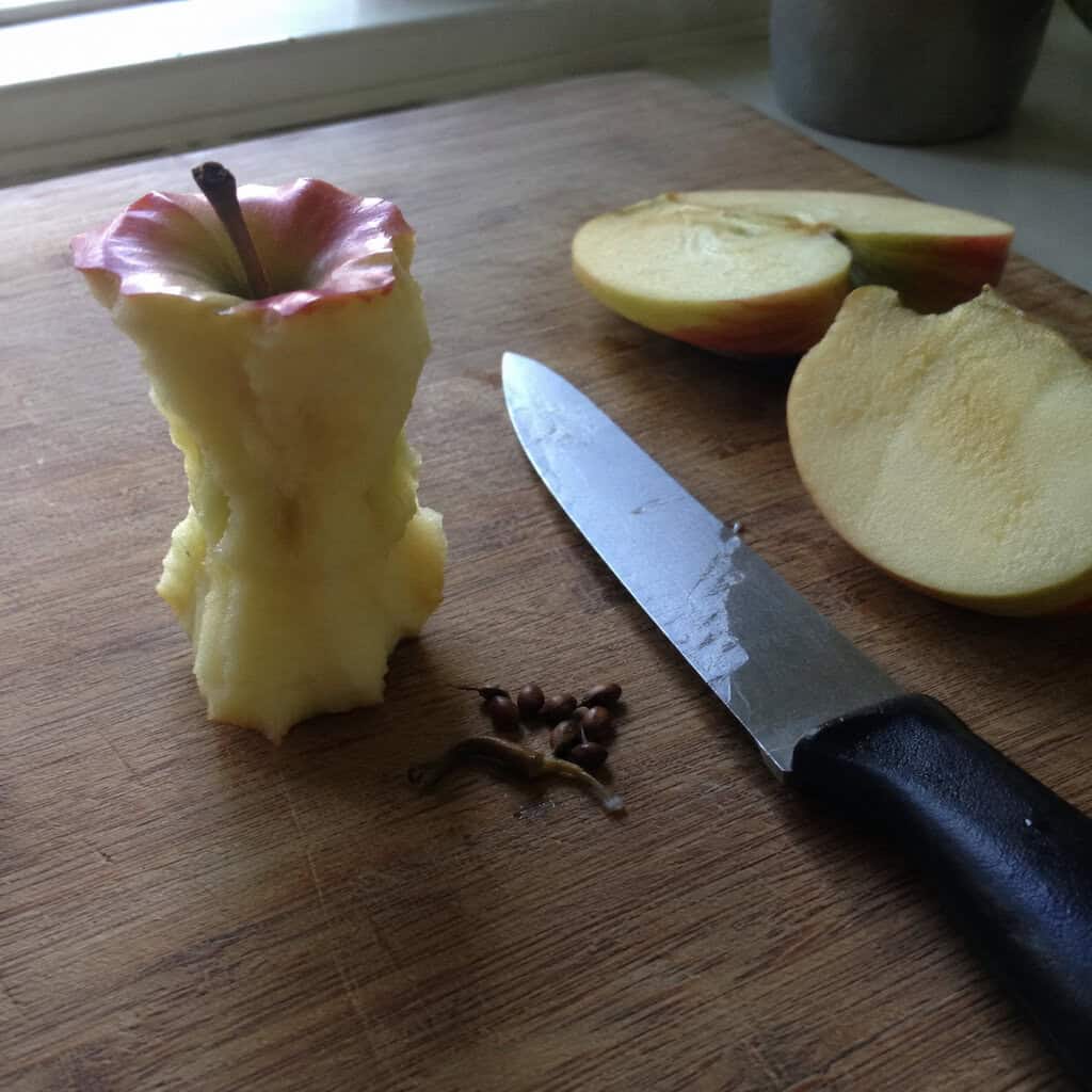 Apple Seeds
