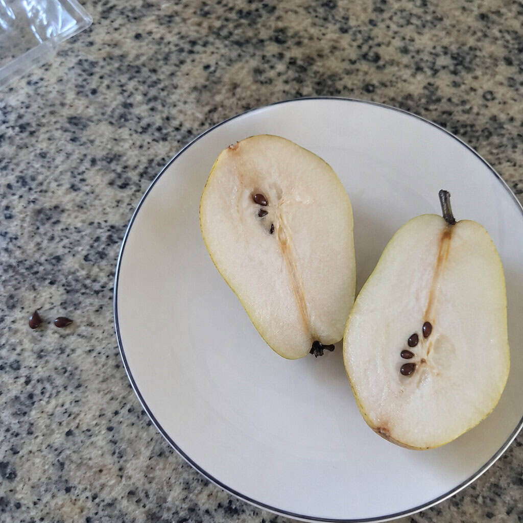 Pear Seeds