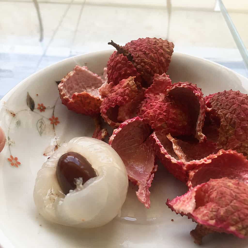 Lychee Seed