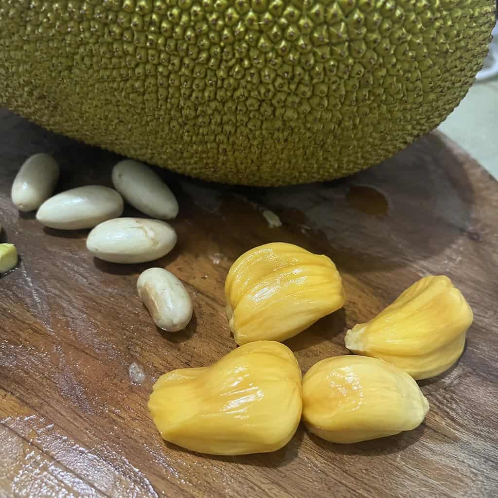 Jackfruit Seeds