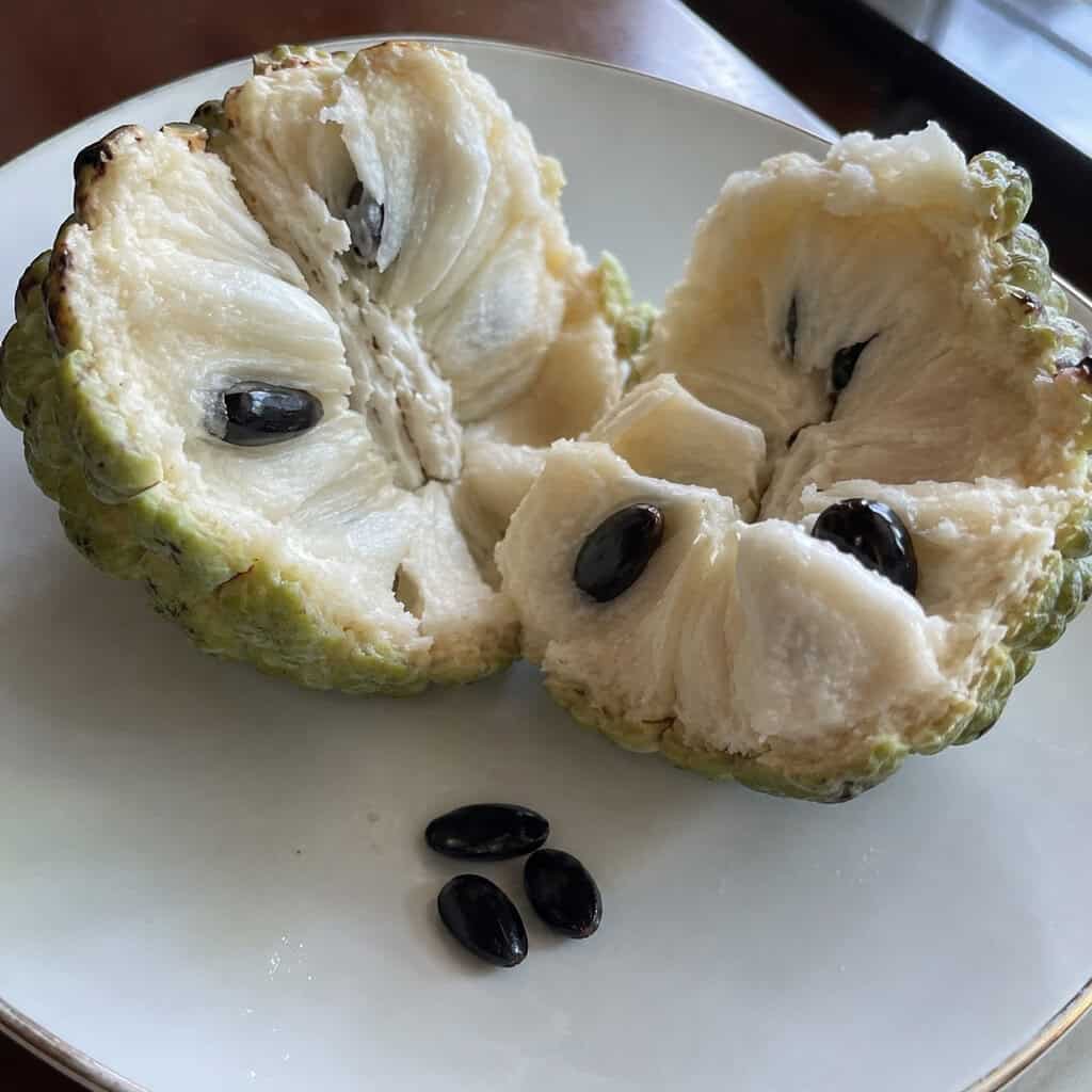 Custard Apple / Sugar Apple Seeds